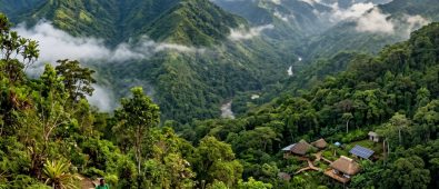 Eco Tourism Jamaica: Experience Nature and Heritage Sustainably Eco Tourism Jamaica: Experience Nature and Heritage Sustainably
