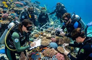 Marine Eco Tourism: Dive into Ocean-Friendly Adventures