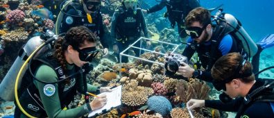 Marine Eco Tourism: Dive into Ocean-Friendly Adventures