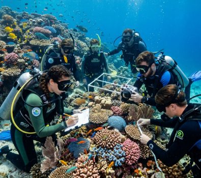 Marine Eco Tourism: Dive into Ocean-Friendly Adventures