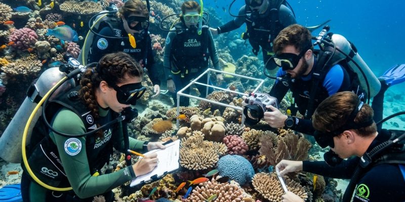 Marine Eco Tourism: Dive into Ocean-Friendly Adventures Marine Eco Tourism: Dive into Ocean-Friendly Adventures